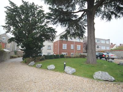 Picture 9